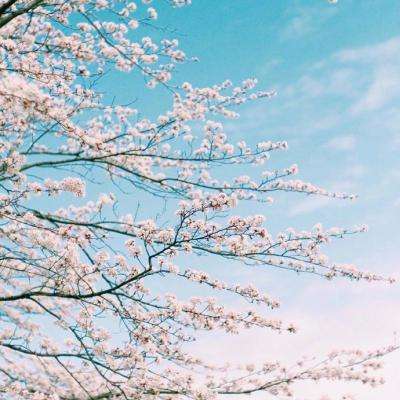 乐鱼体育平台下载地址